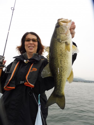 truth truth_news ブログ写真 2015/05/16