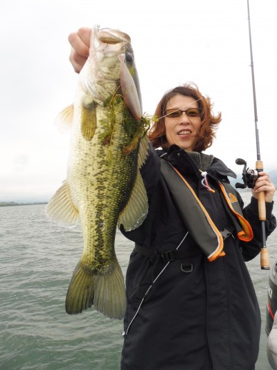 truth truth_news ブログ写真 2015/05/16