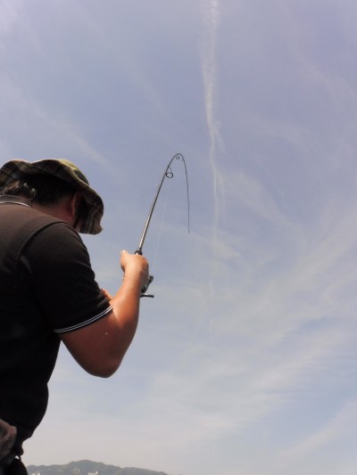 truth truth_news ブログ写真 2015/05/17