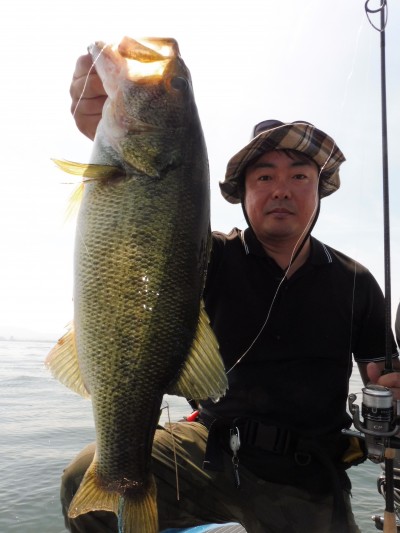 truth truth_news ブログ写真 2015/05/17