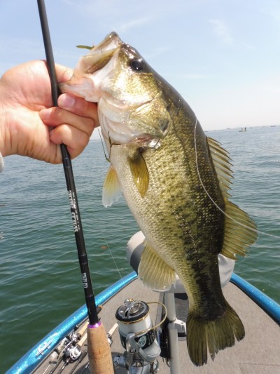 truth truth_news ブログ写真 2015/05/17