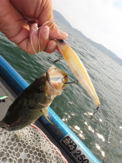 truth truth_news ブログ写真 2015/05/17