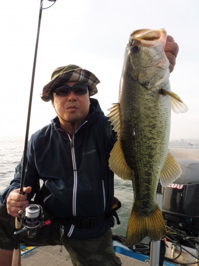 truth truth_news ブログ写真 2015/05/17