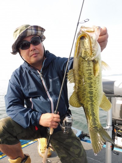 truth truth_news ブログ写真 2015/05/17