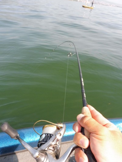 truth truth_news ブログ写真 2015/05/17