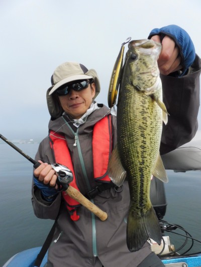 truth truth_news ブログ写真 2015/05/21