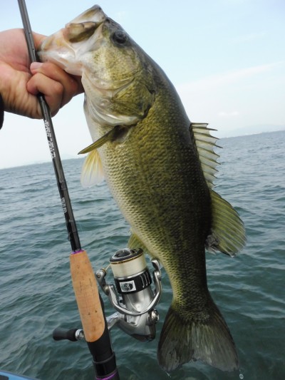 truth truth_news ブログ写真 2015/05/21