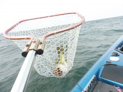 truth truth_news ブログ写真 2015/05/21