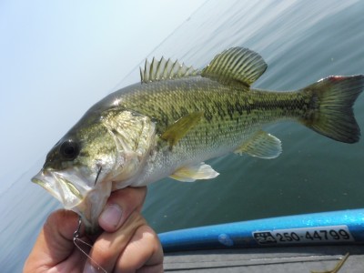 truth truth_news ブログ写真 2015/05/21