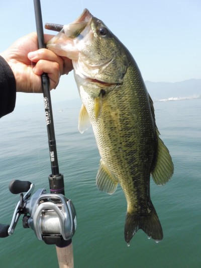 truth truth_news ブログ写真 2015/05/21