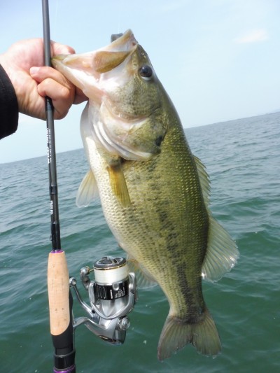 truth truth_news ブログ写真 2015/05/21