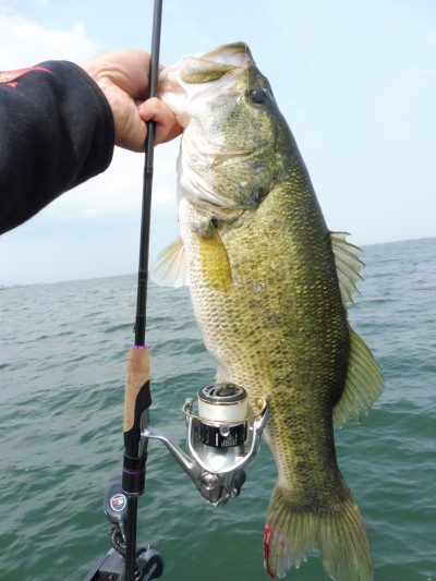 truth truth_news ブログ写真 2015/05/21