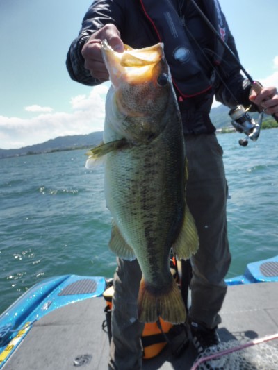 truth truth_news ブログ写真 2015/05/21