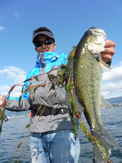 truth truth_news ブログ写真 2015/05/21