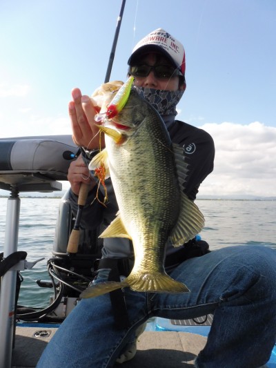 truth truth_news ブログ写真 2015/05/21