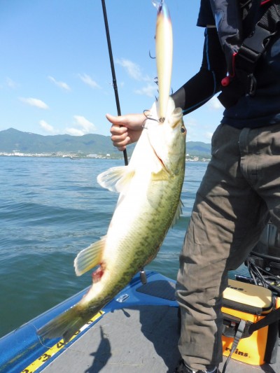 truth truth_news ブログ写真 2015/05/21