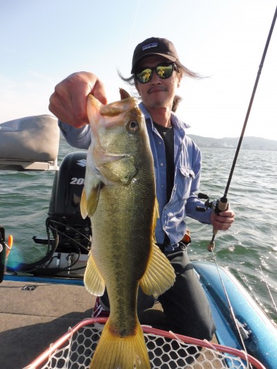 truth truth_news ブログ写真 2015/05/22