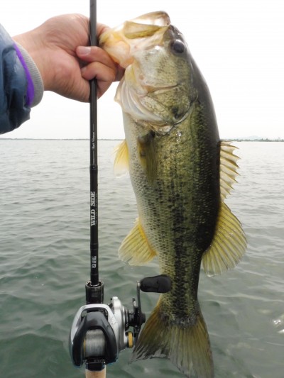 truth truth_news ブログ写真 2015/05/22