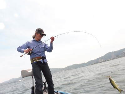 truth truth_news ブログ写真 2015/05/22