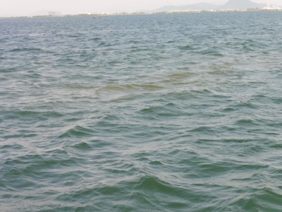 truth truth_news ブログ写真 2015/05/22