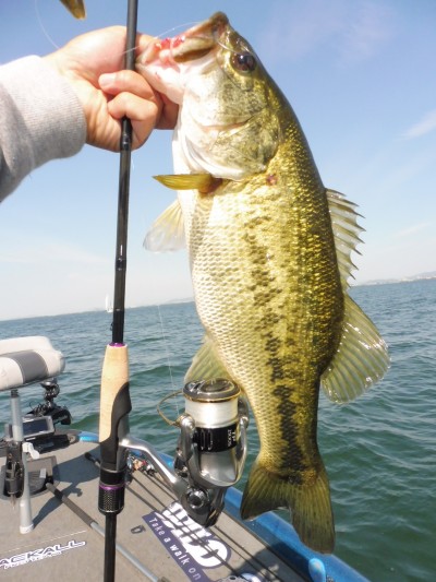 truth truth_news ブログ写真 2015/05/22