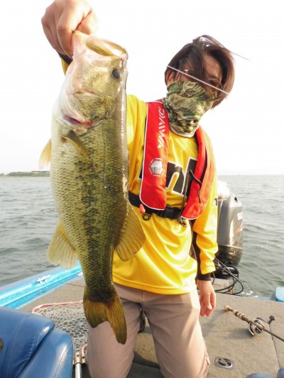 truth truth_news ブログ写真 2015/06/02
