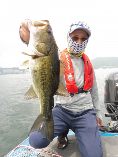 truth truth_news ブログ写真 2015/06/02