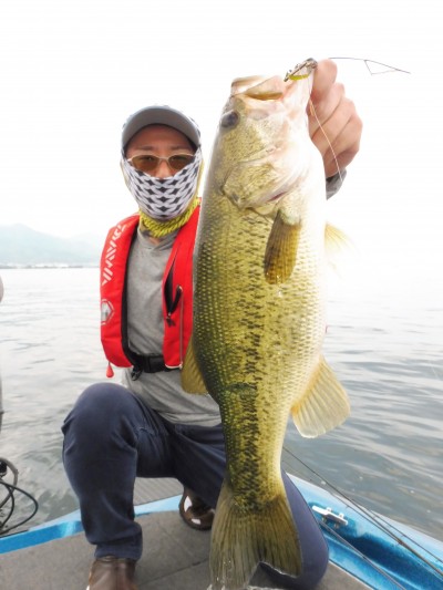 truth truth_news ブログ写真 2015/06/02
