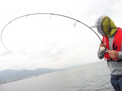 truth truth_news ブログ写真 2015/06/02