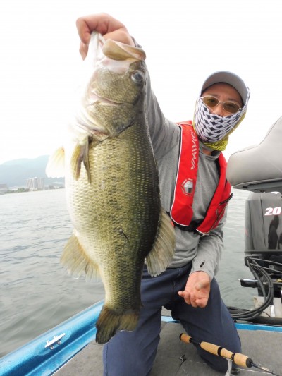 truth truth_news ブログ写真 2015/06/02
