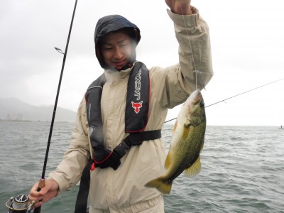 truth truth_news ブログ写真 2015/06/06