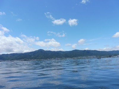 truth truth_news ブログ写真 2015/06/06