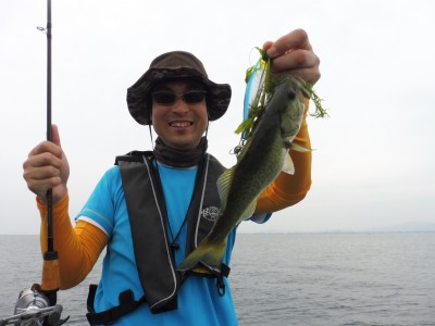 truth truth_news ブログ写真 2015/06/13