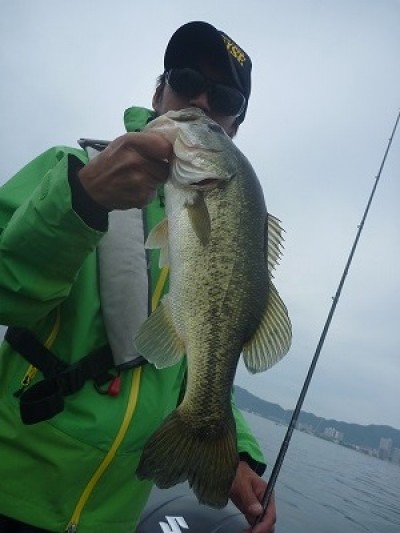 truth truth_news ブログ写真 2015/06/14