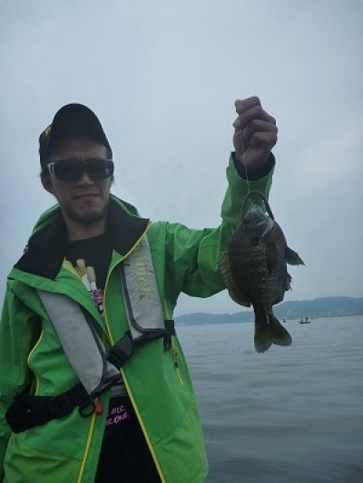 truth truth_news ブログ写真 2015/06/14