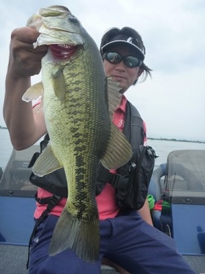 truth truth_news ブログ写真 2015/06/14