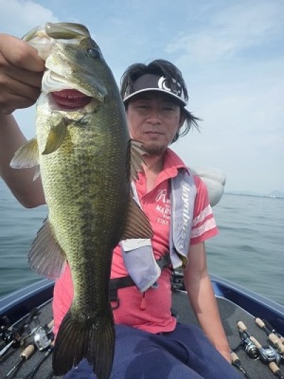 truth truth_news ブログ写真 2015/06/14