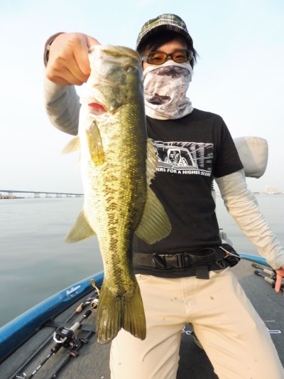 truth truth_news ブログ写真 2015/06/15