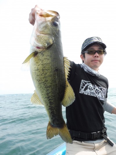 truth truth_news ブログ写真 2015/06/15