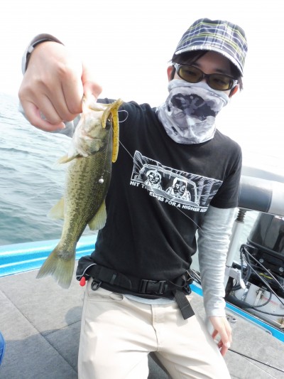 truth truth_news ブログ写真 2015/06/15