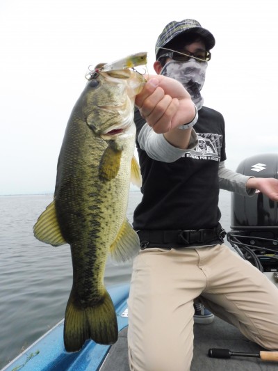 truth truth_news ブログ写真 2015/06/15