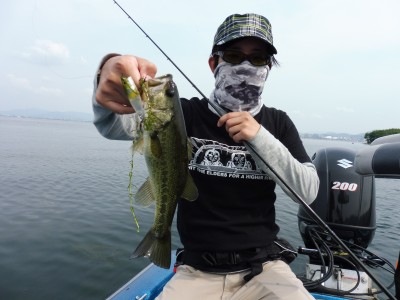 truth truth_news ブログ写真 2015/06/15