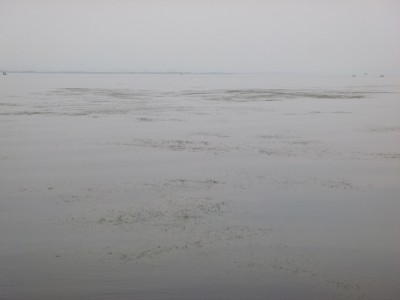 truth truth_news ブログ写真 2015/06/16