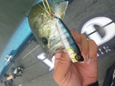 truth truth_news ブログ写真 2015/06/16