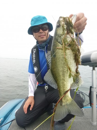 truth truth_news ブログ写真 2015/06/16