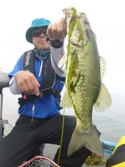 truth truth_news ブログ写真 2015/06/16