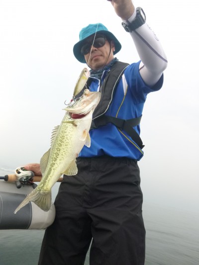 truth truth_news ブログ写真 2015/06/16