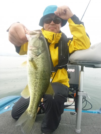 truth truth_news ブログ写真 2015/06/16