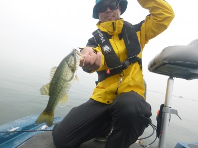 truth truth_news ブログ写真 2015/06/16