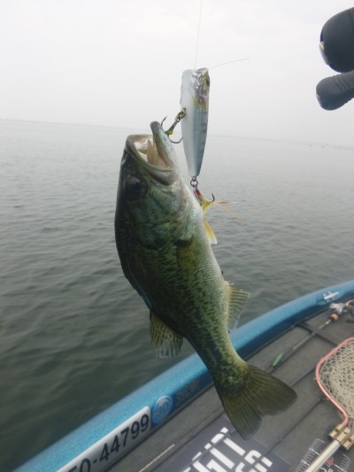 truth truth_news ブログ写真 2015/06/16